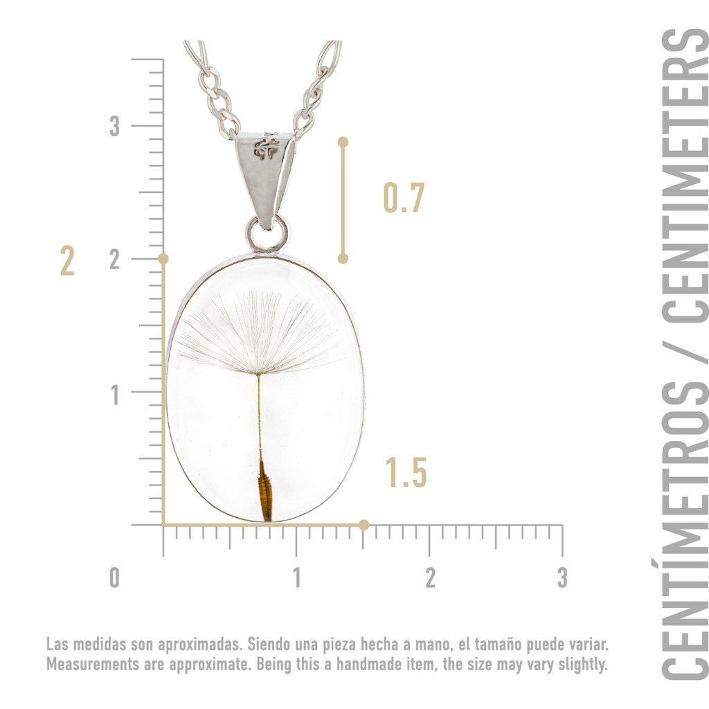 Collar de Plata con Semilla de Diente de León en Fondo Transparente