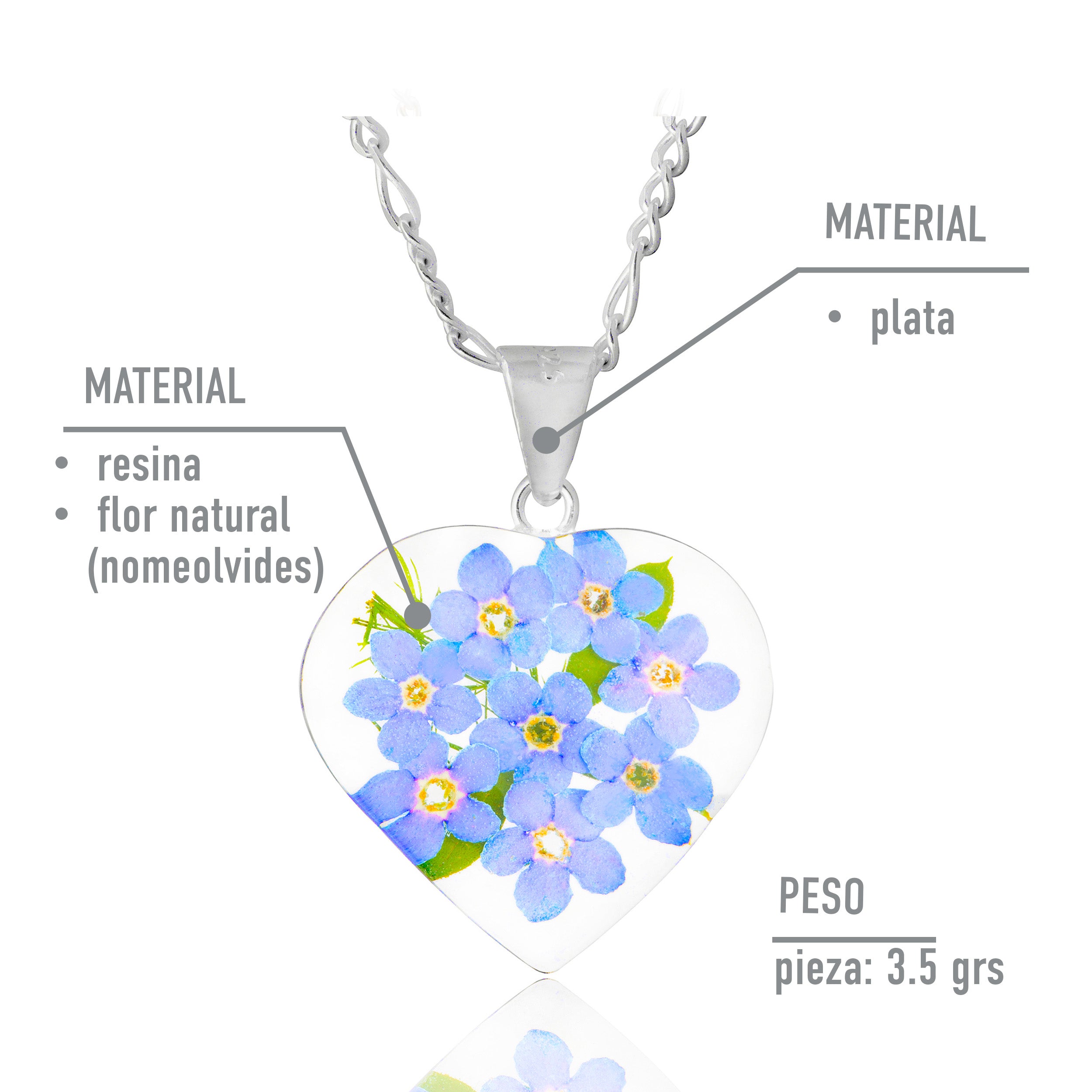 Collar con Flores Eternas de Nomeolvides en Corazón de Plata 925