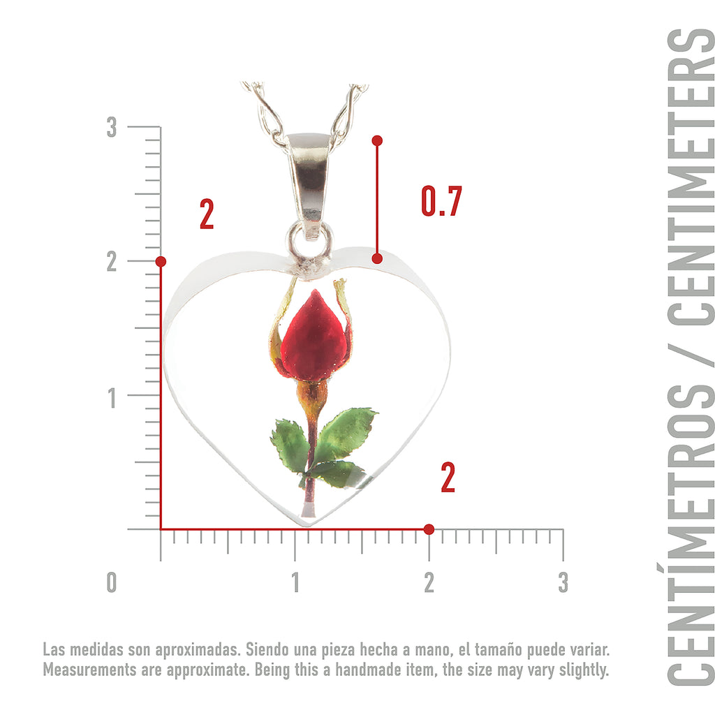 Collar de Corazón de Plata con Rosa Natural