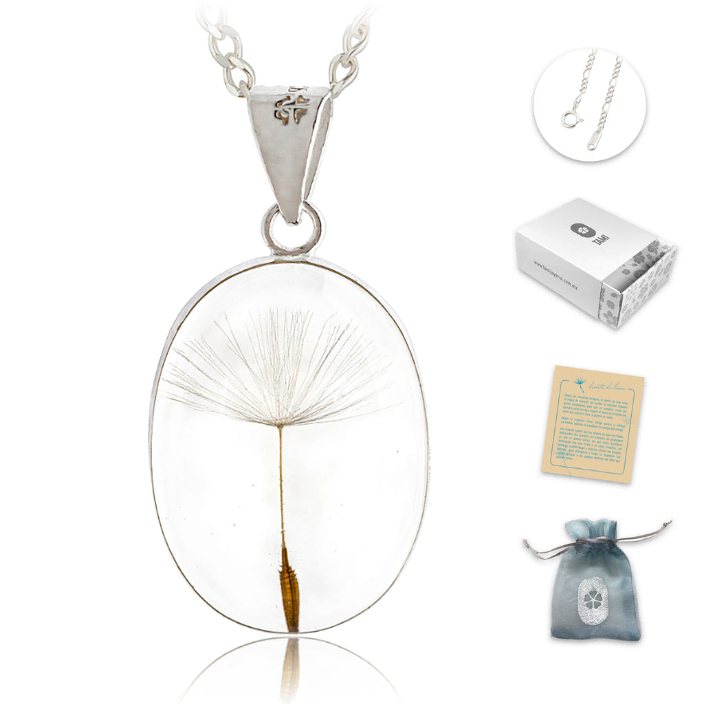 Collar de Plata con Semilla de Diente de León en Fondo Transparente