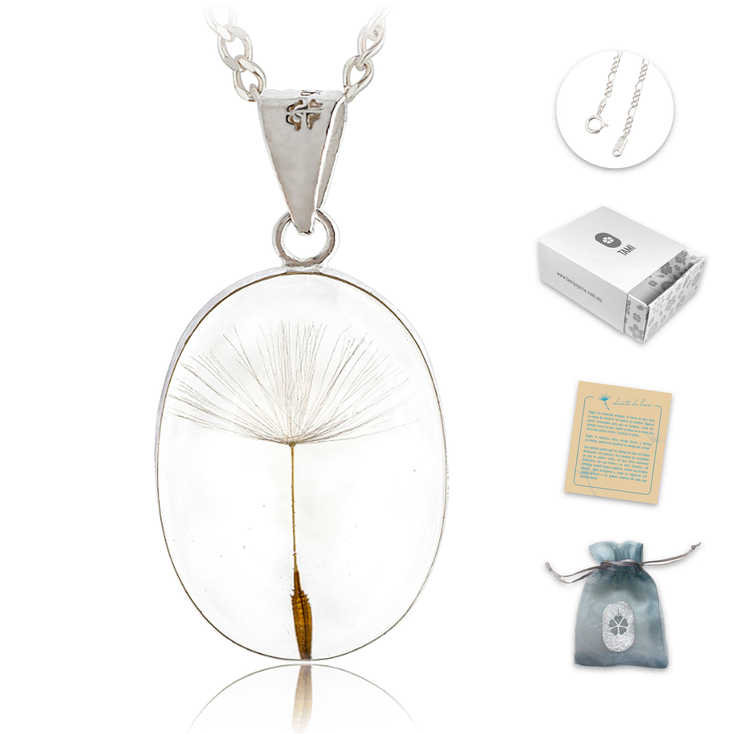 Collar de Plata con Semilla de Diente de León en Fondo Transparente