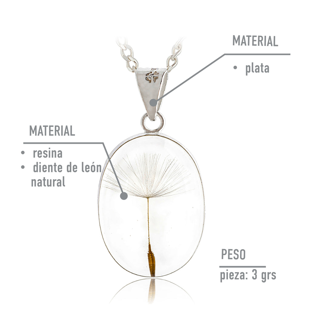 Collar de Plata con Semilla de Diente de León en Fondo Transparente