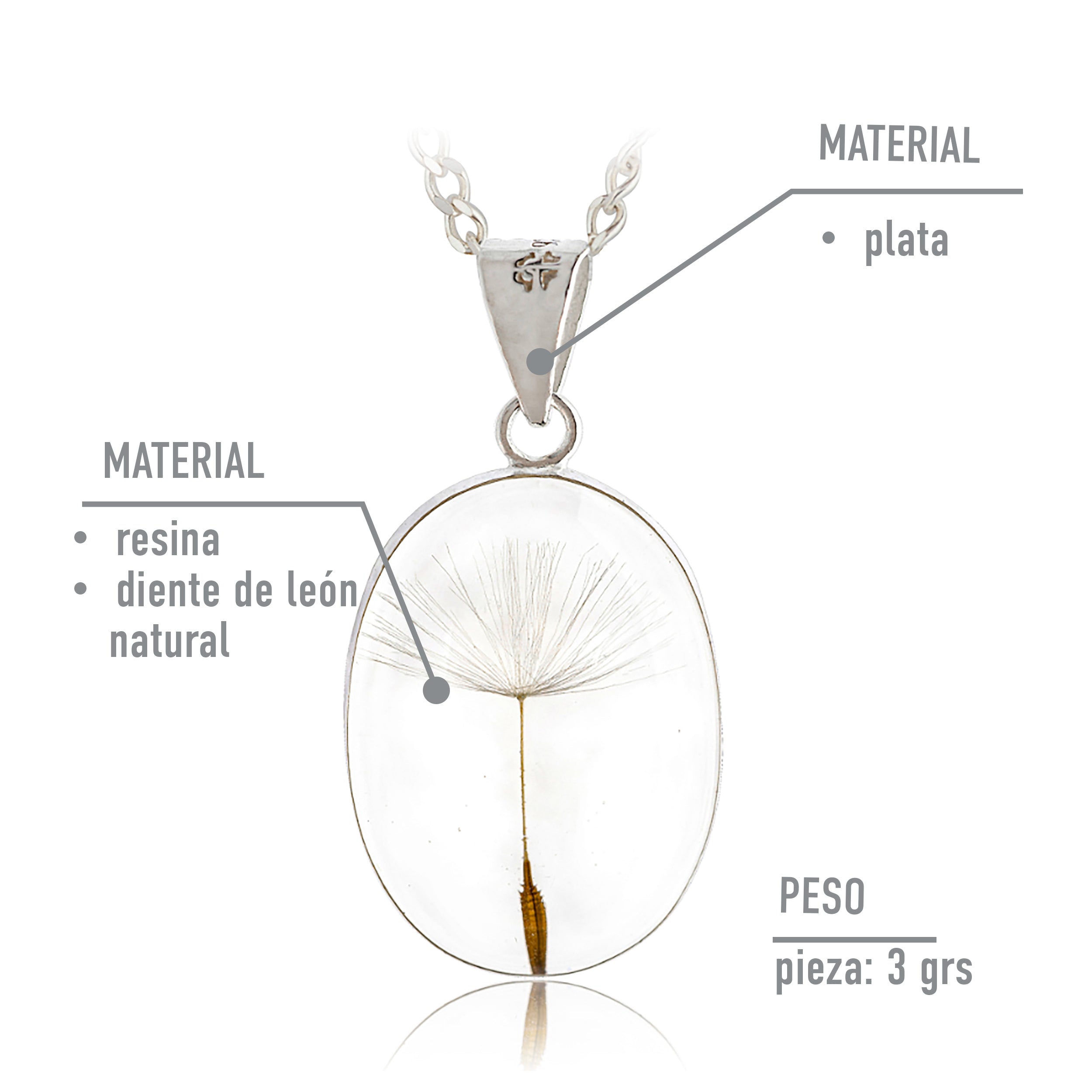 Collar de Plata con Semilla de Diente de León en Fondo Transparente