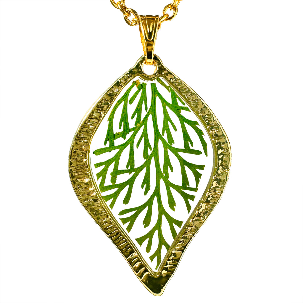 Collar de Acero Inoxidable de Hoja Dorada