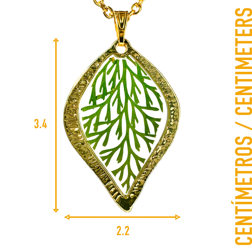 Collar de Acero Inoxidable de Hoja Dorada