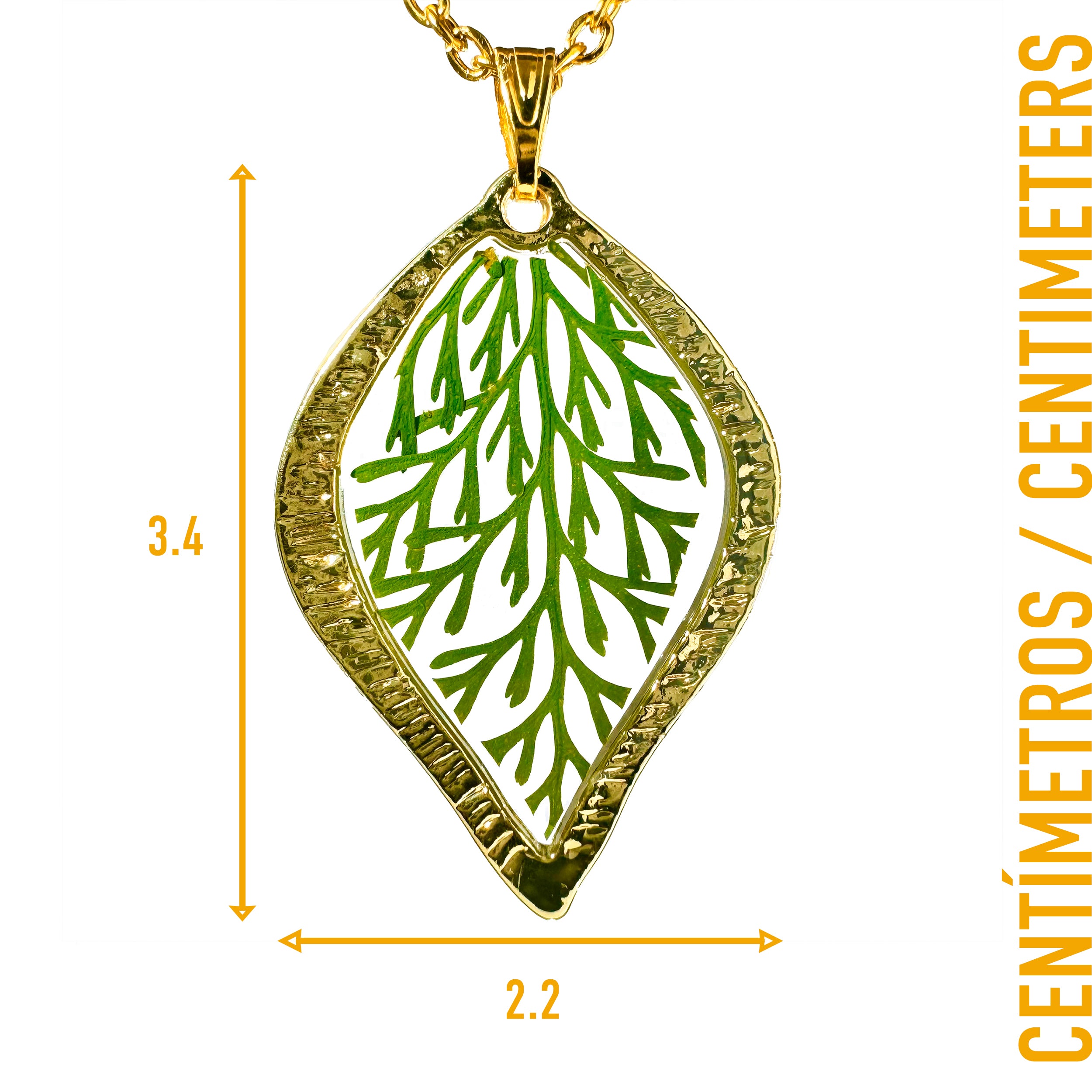 Collar de Acero Inoxidable de Hoja Dorada