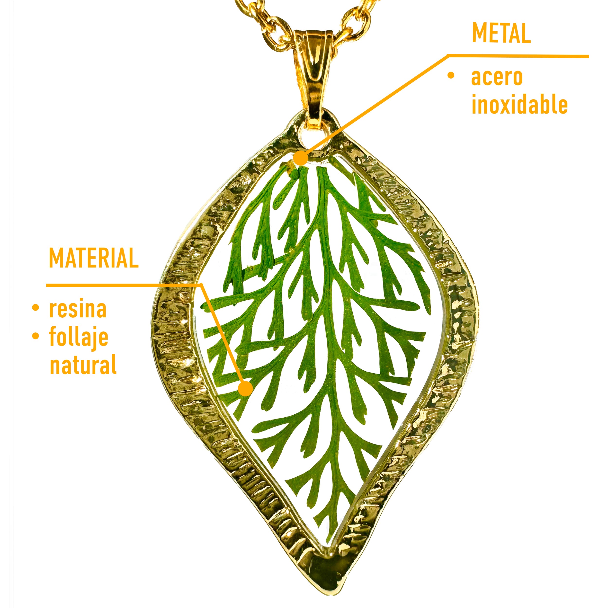 Collar de Acero Inoxidable de Hoja Dorada
