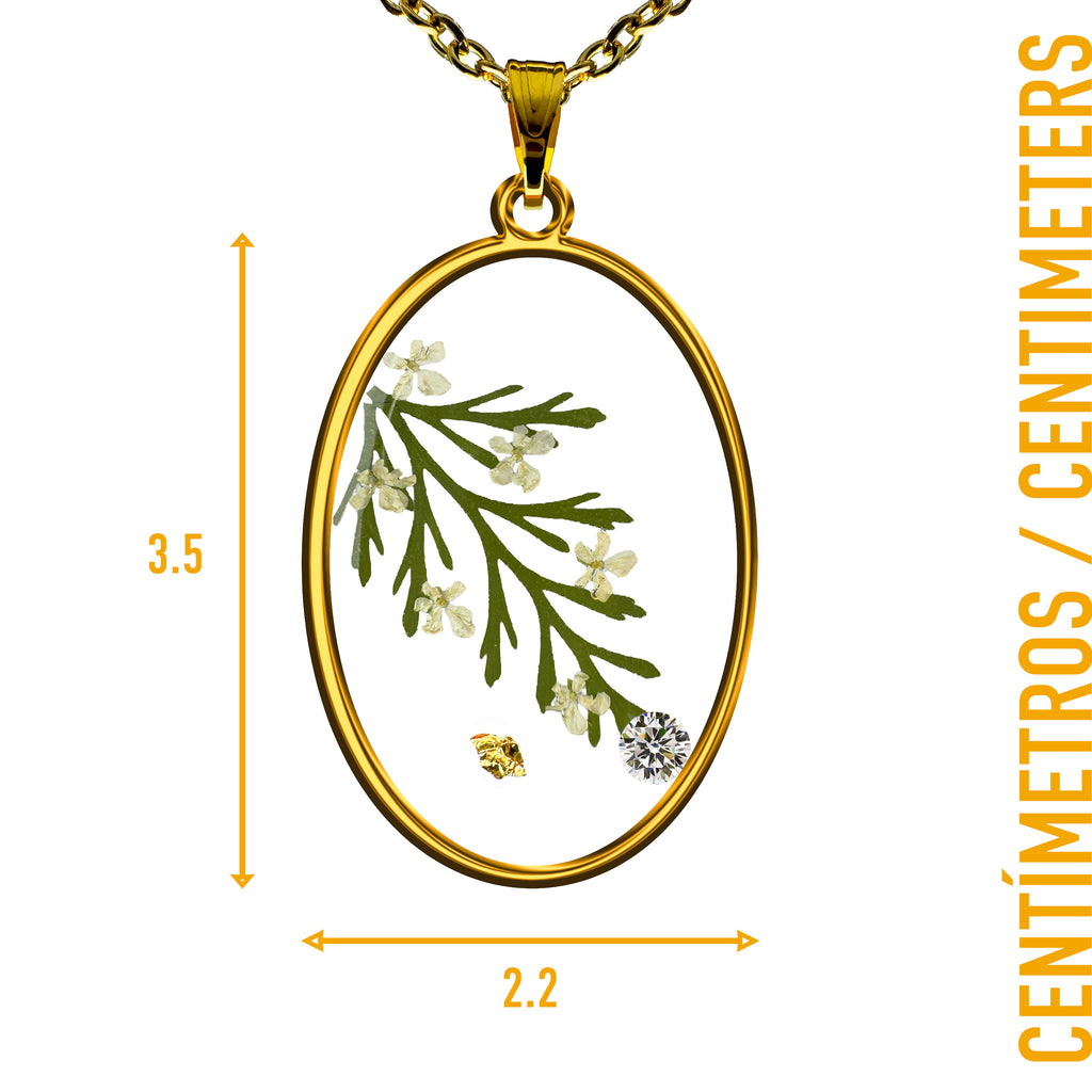 Collar de Acero Inoxidable Dorado con Flores de Encaje de la Reina Ana y Zirconias Blancas