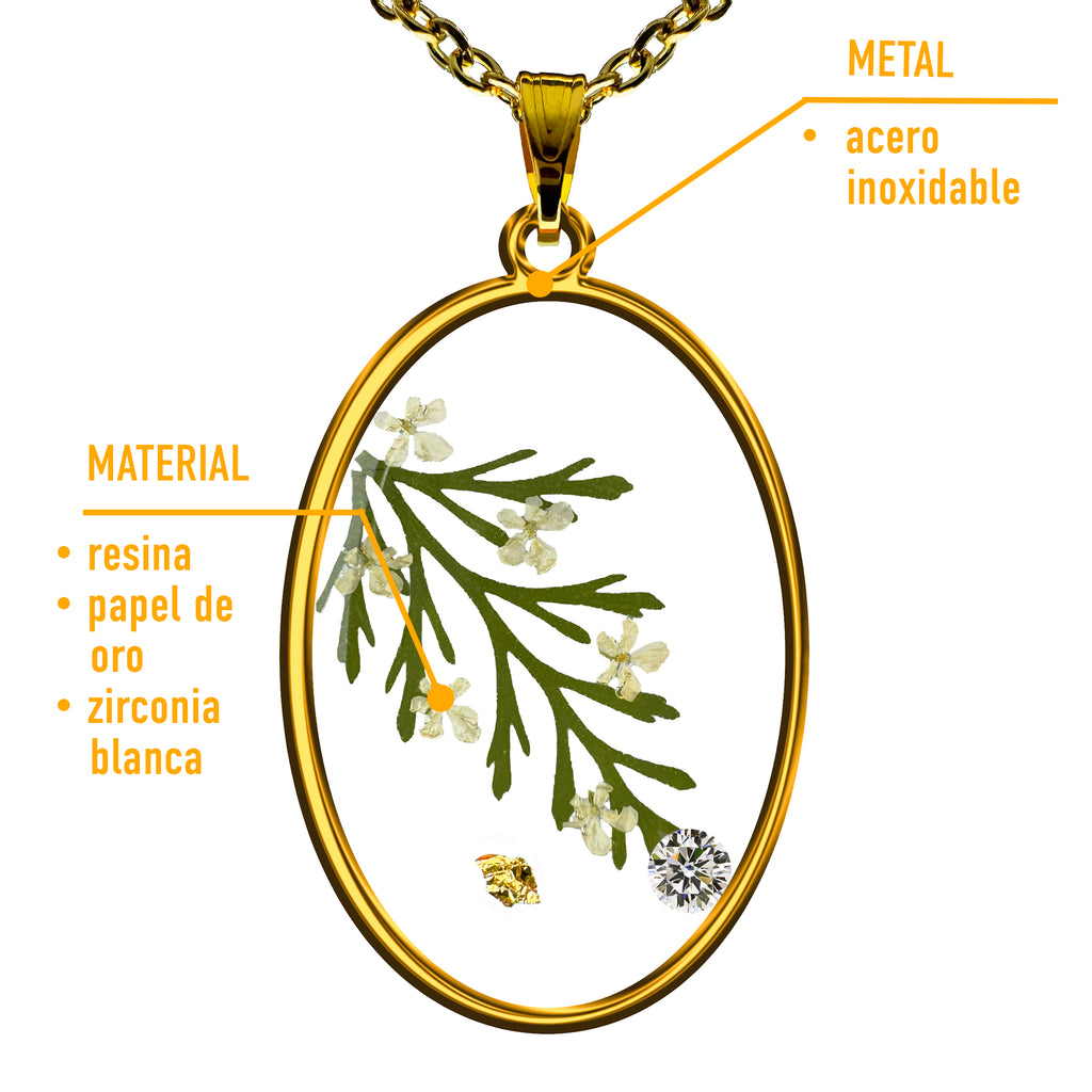 Collar de Acero Inoxidable Dorado con Flores de Encaje de la Reina Ana y Zirconias Blancas