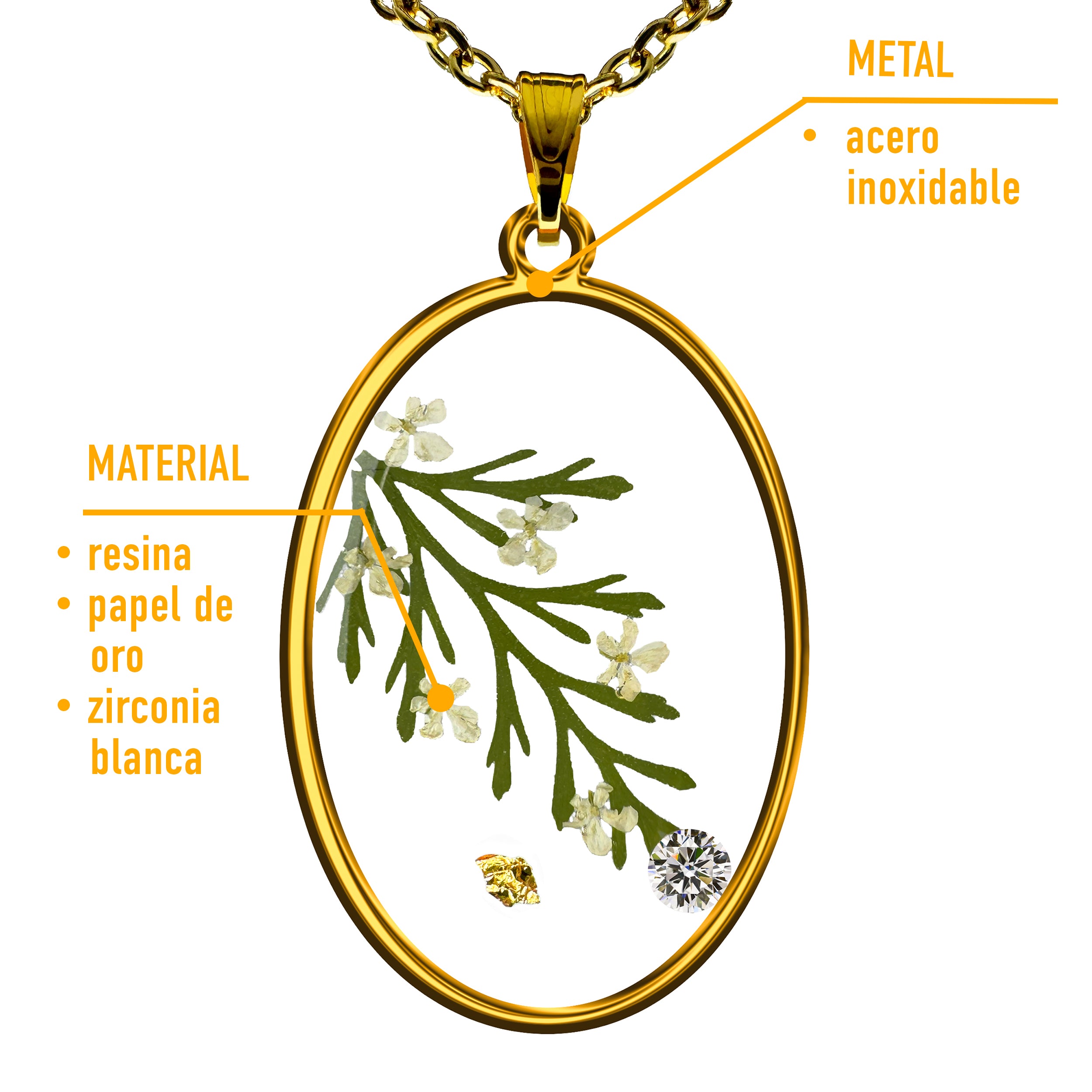 Collar de Acero Inoxidable Dorado con Flores de Encaje de la Reina Ana y Zirconias Blancas