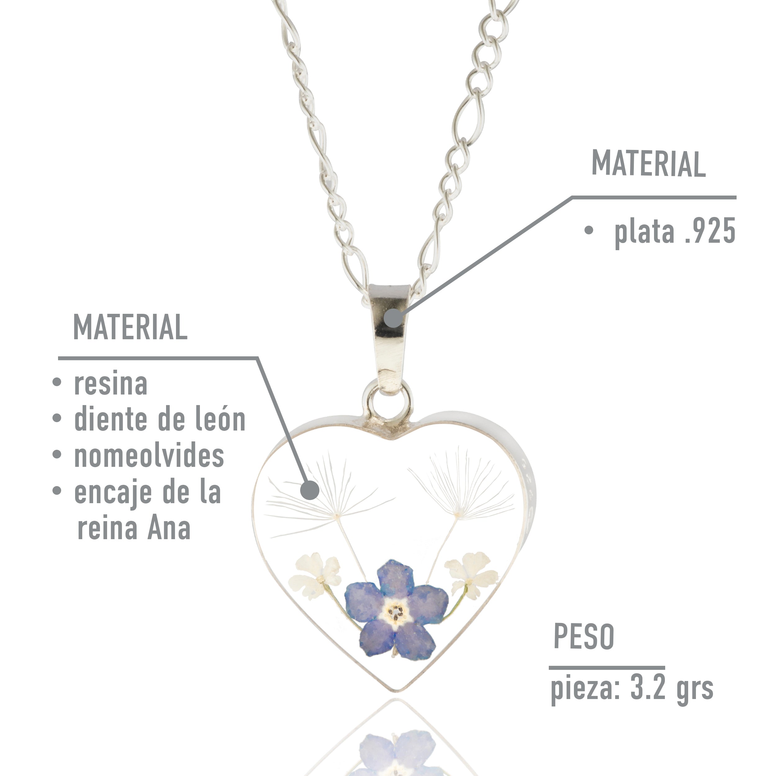 Collar Corazón con Diente de León y Nomeolvides en Plata 925