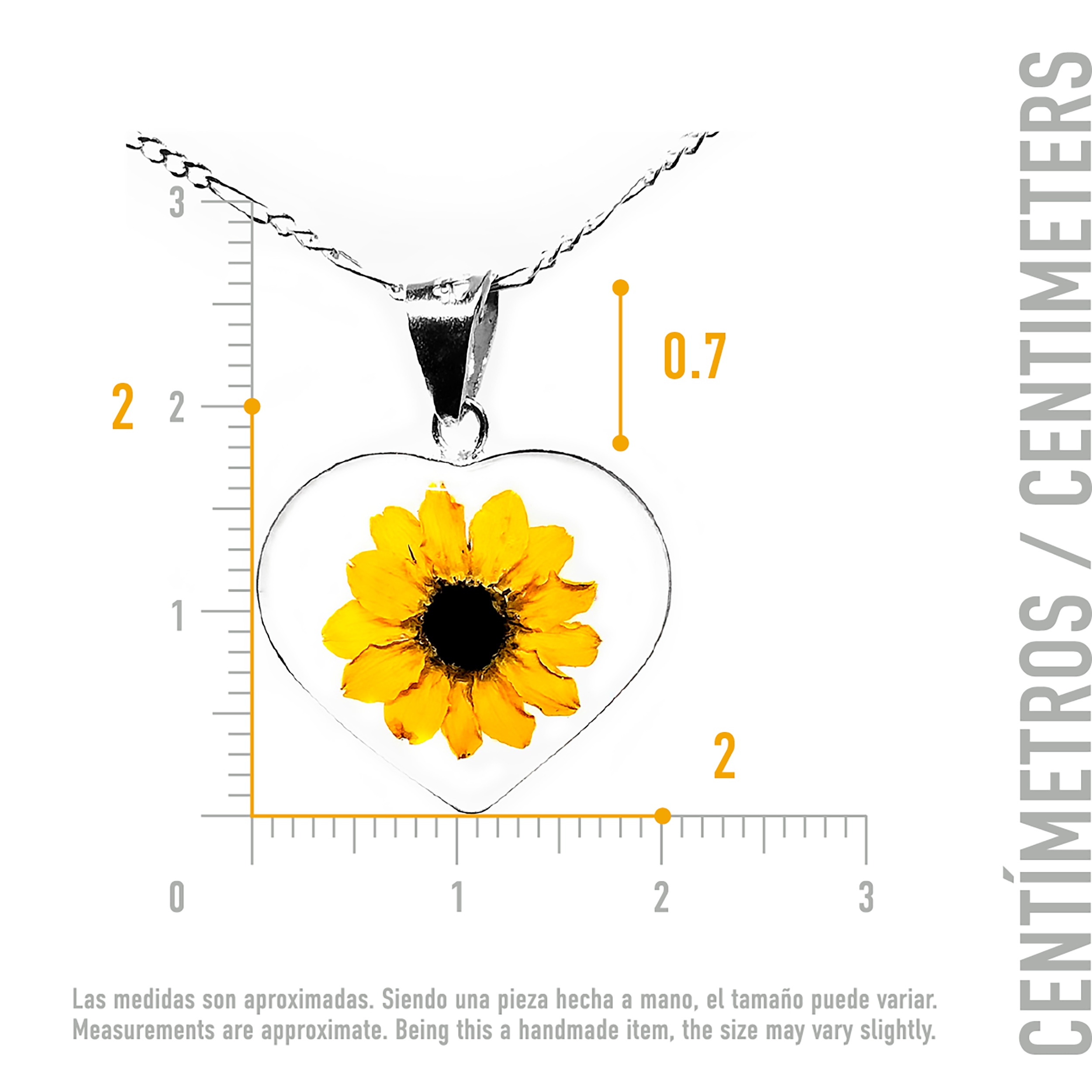 Collar Girasol en Plata con Tarjeta Inspirada en Película Shrek "Tú sí eres bonita"