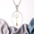 Collar de Plata con Semilla de Diente de León en Fondo Transparente